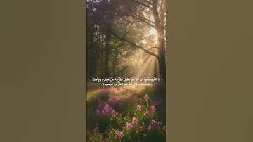 تلاوة عطره للشيخ ياسر الدوسري #قرآن #اكسبلور