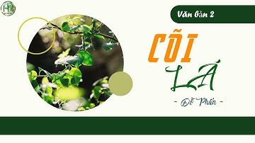 Bài giảng  "Cõi lá" - Đỗ Phấn