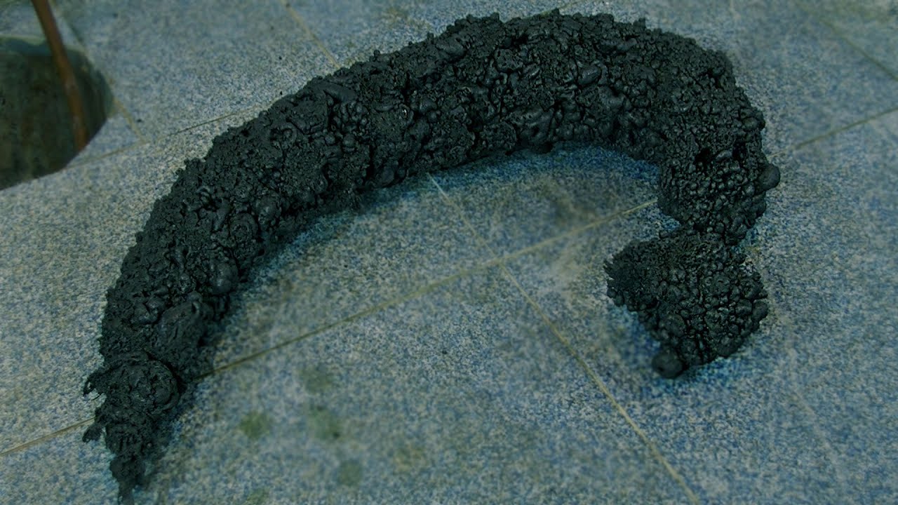 #12 Węże – ostatnie starcie (wąż z sacharozy i p-nitroaniliny)