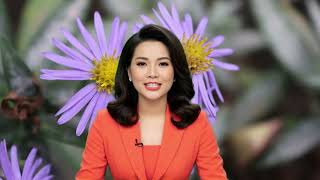 Restored Republic via a GCR Update  By Judy Byington Special Intel Report Today