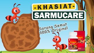 Sarmucare Kapsul Ekstrak Sarang Semut Papua 100% Asli | Obat Multikhasiat