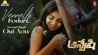 Anveshi trailer