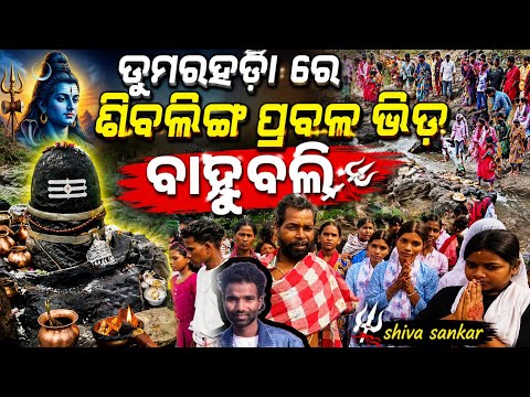 ଡୁମରହଡ଼ା ରେ ଶିବଲିଙ୍ଗ ପ୍ରବଳ ଭିଡ଼ 😱 ବାହୁବଳୀ || କଣ୍ କହିଲେ ତାଙ୍କ ଗାଁ ଲୋକେ ଦେଖନ୍ତୁ Dumarhada shiva ling