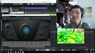 Cắm thẳng Mic vào Máy Tính -  Đưa vô CUBASE để sử dụng AutoTune Hát LiveStream - Không cần SoundCard screenshot 5