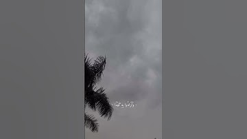 قلنا يا نار كوني بردا وسلاما على ابراهيم . قرآن سوره الانبياء