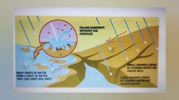 Class 5 | Science | Chapter 7| Soil Erosion and conservation|