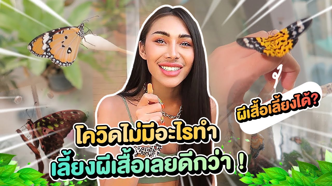 VLOG #167 พึ่งรู้ว่าผีเสื้อเลี้ยงได้ เชื่องด้วย !!! กิจกรรมช่วงกักตัวโควิด เลี้ยงน้องผีเสื้อซะเลยยย