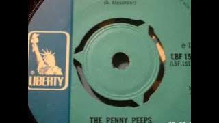 PENNY PEEPS - Curly, the knight of the road
