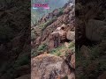The process of workers splitting rocks using simple tools #shorts
