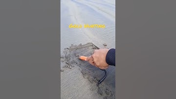 Metal detecting in the beach #metaldetecting #goldhunting #shorts