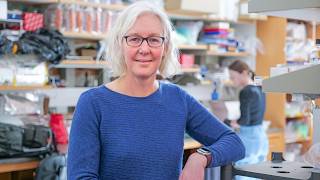 A simple shot shows promise to reverse osteoarthritis within weeks