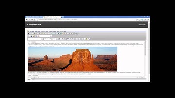 Accessibility as you type - WCAG 2.0 - elcomCMS Demo