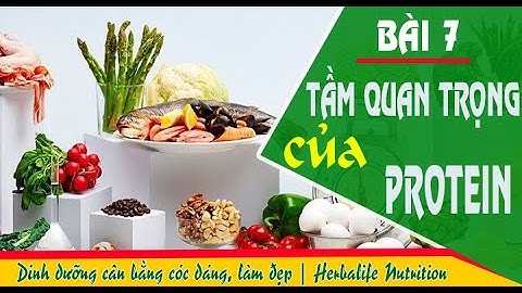 Bài 7: Tầm quan trọng của Protein (Đạm) - Herbalife Nutrition | Dinh dưỡng cân bằng