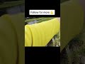 Unbelievable Double Strike Fishing 🎣 | Hook 2 Giant Fish Like a Pro 🐟🔥