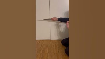 Thrust with a Persian kard (knife) and a horizontal cut #shorts