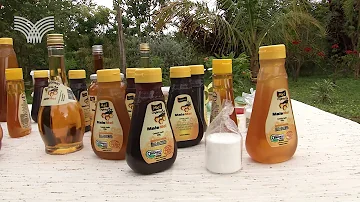 Quais produtos são feitos à base de mel?