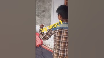 #शोर्ट्स #shorts #pardeepbalu #kabootar #ytshorts #youtubeshorts #ytshortsindia #youtuber