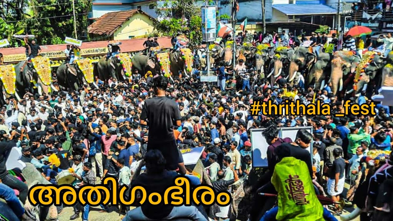 Thirthala nercha | Thirithala fest | 65-ൽ പരം ആനകൾ അണിനിരന്നു Thritha | Thirithala fest at 2023