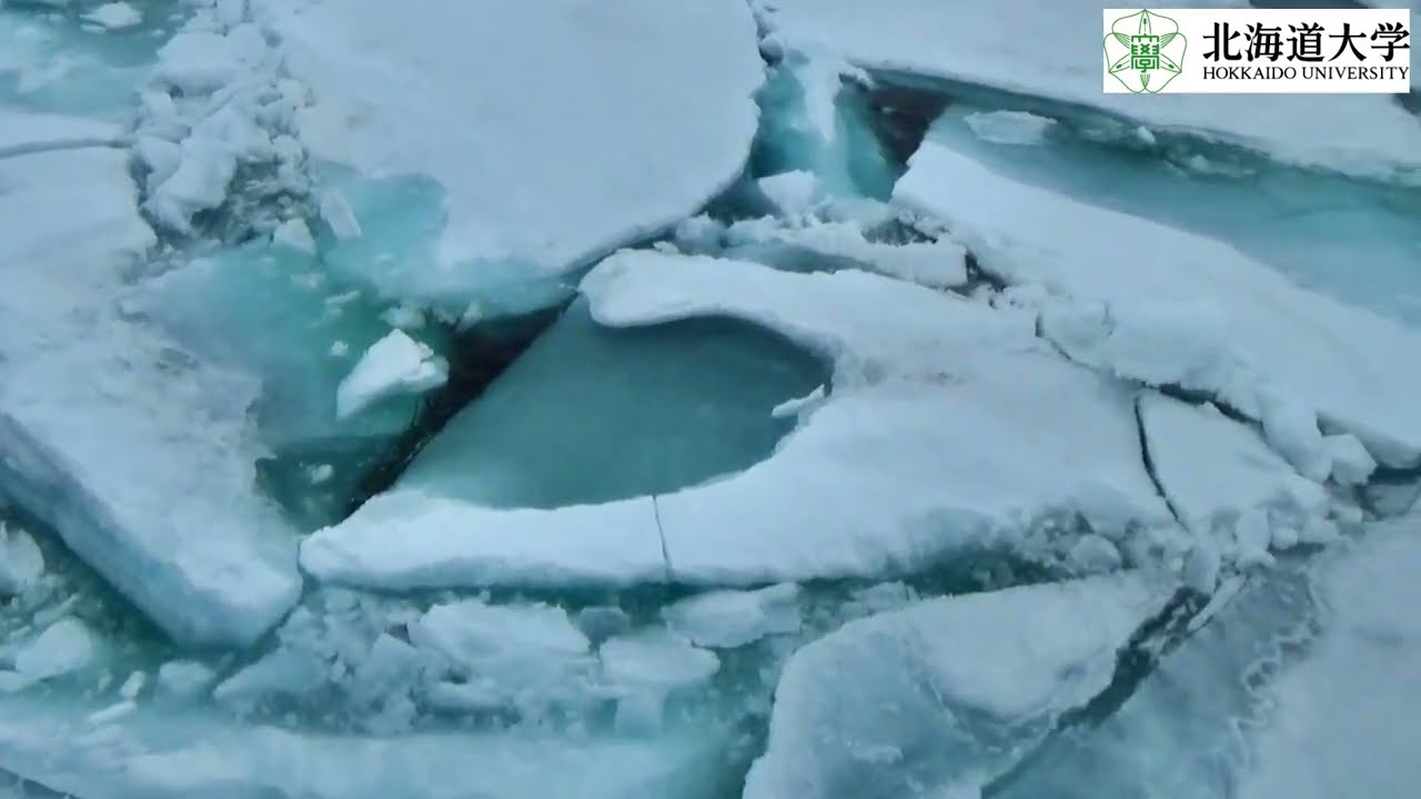 コース 北極での海氷観測 動画 Sea Ice Observation In The Arctic Videos
