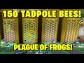 🐸150 Mythic Tadpole Bees in Stump Field!🐸 ITS CRAZY! - Bee Swarm Simulator Test Server