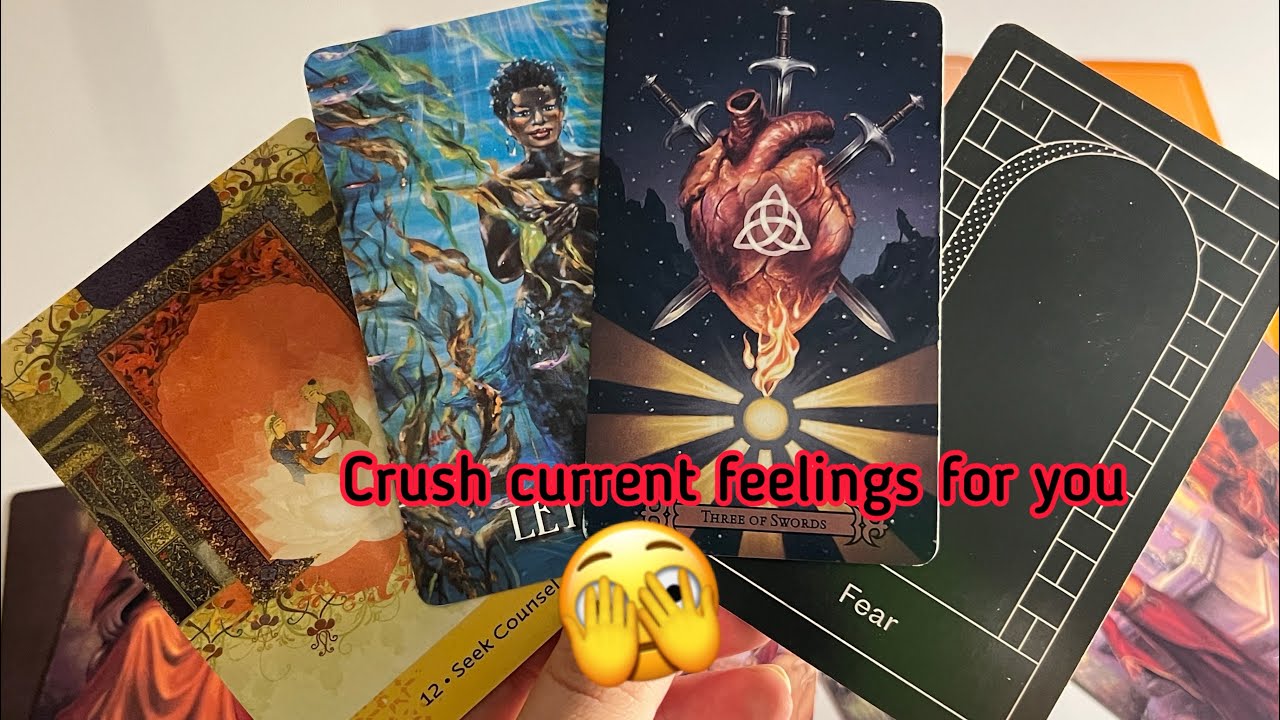 Crush Current Feelings for you ️‍🔥 Crush current feelings | Hindi tarot ...