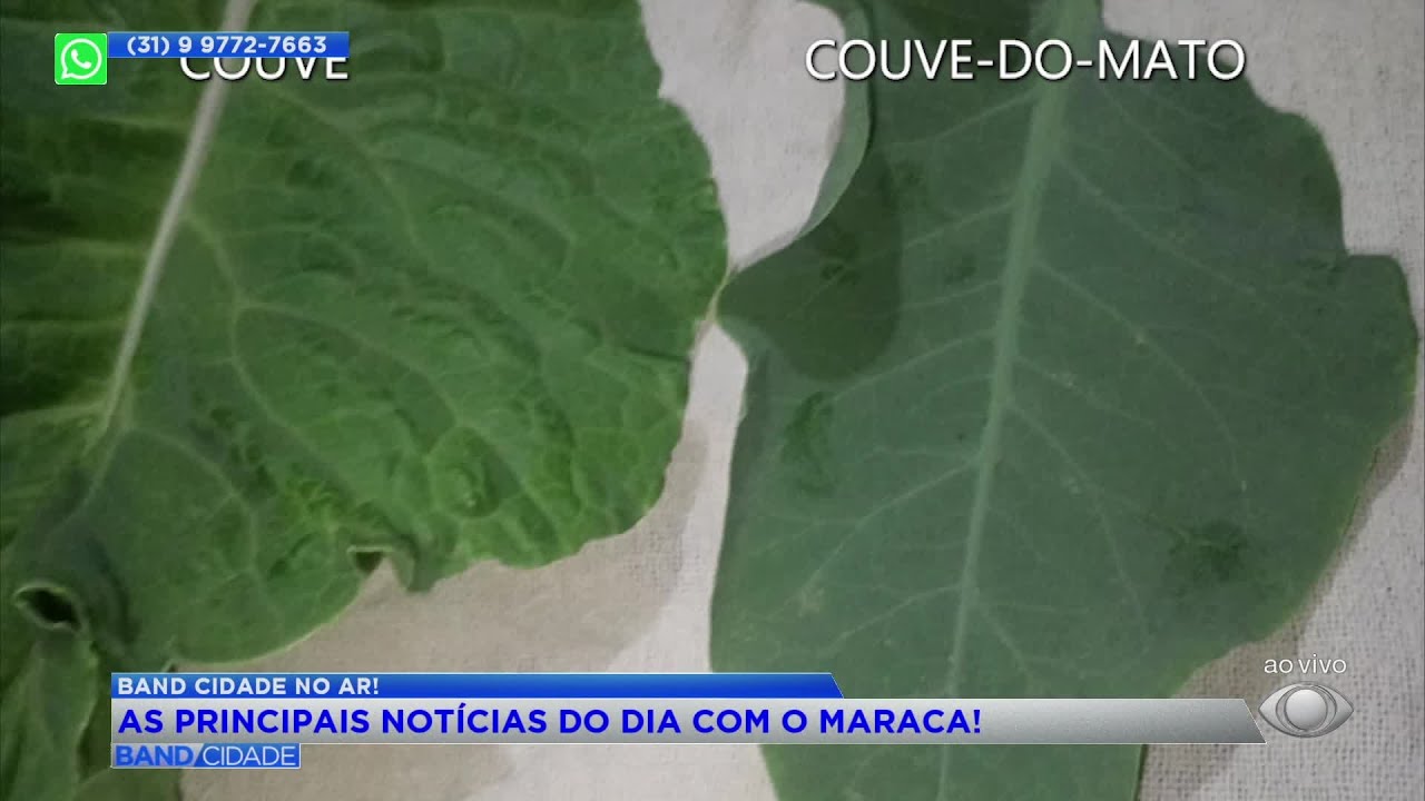 Morre mulher que comeu 