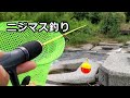 なぜ?放流直後より、ニジマスが釣れるの?