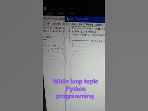 python programming tuple using while loop example code - YouTube