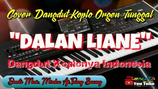 Dalan liane, lagu terbaru cover dangdut koplo denata music orgen tunggal/2020