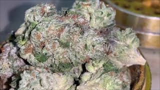 NITRO COOKIES STRAIN REVIEW 27% THC BY ORGANNIC CRAFT