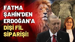 Erdoğanla Fatma Şahinin Enteresan Diyaloğu: Sana Dişi Fil Nereden Bulayım?
