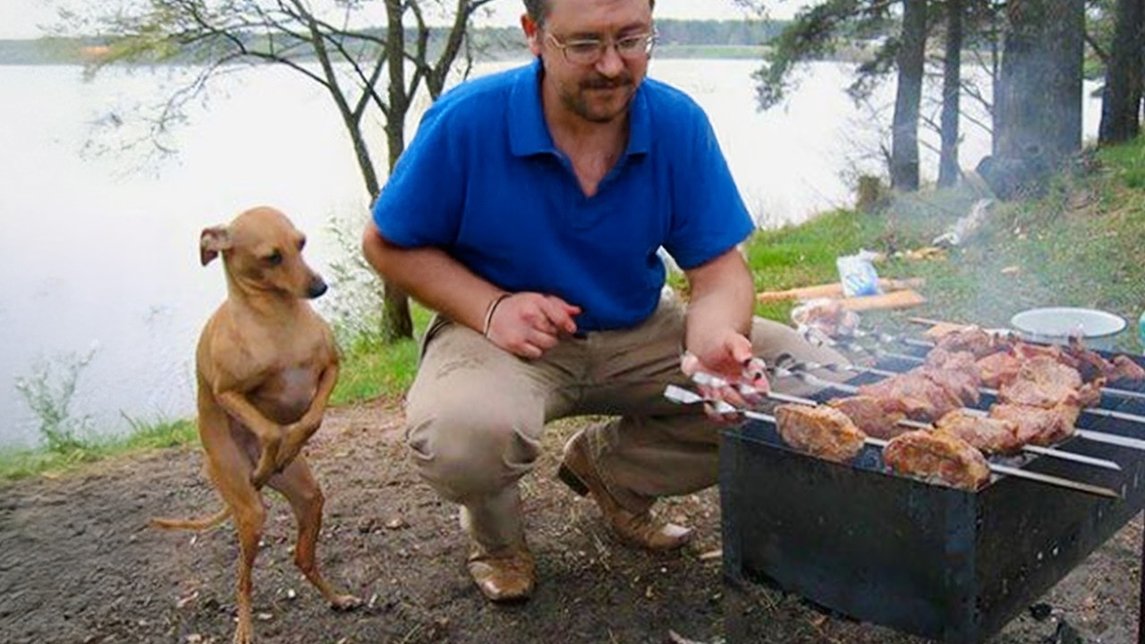 When Your Dog Is Being the Sweetest and Polite Little Gentleman! 🐶Cute Dog Videos