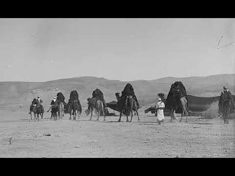 معركة ضلع عظيم الفرادسة من قبيلة الرشايدة بني رشيد عبس الرشايده ضد السحمان من قبيلة حرب