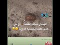 الهندى اتصل على كفيله يوم شاف القنفذ  يقوله بالجاخور فى كرونا دندنها