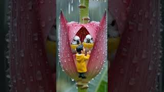 blossom...