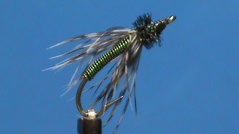 Fly Tying an Olive Brassie Soft Hackle with Jim Misiura