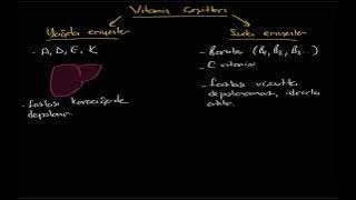 Vitaminler (A D E K, B grubu, C, yağda eriyenler, suda eriyenler)