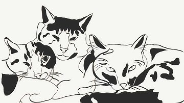 Easy Reverse Canvas Tutorial