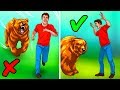 Qué hacer cuando ves un oso