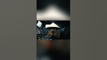 Capybara phát hiện cứu mọi người khỏi đoàn tàu #capybara #hoathinhvietnam #trending