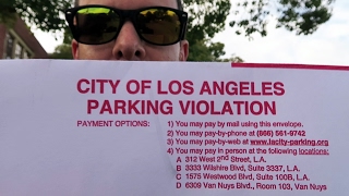 Challenging A Parking Ticket In Los Angeles!