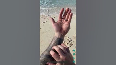 Ark: Survival Evolved Graphics Are Getting Insane!!