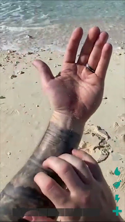 Ark: Survival Evolved Graphics Are Getting Insane!!