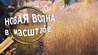 Новая волна в масштабе