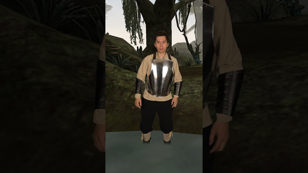 Morrowind skill leveling be like