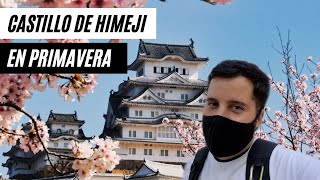 🏯 Visitando el Castillo de Himeji con Sakuras en Japón