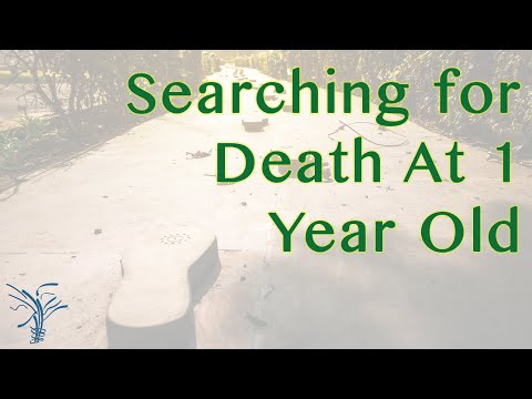 Since The Age Of 1 I Have Been Searching For The Meaning Of Death | Gabriel Cousens | Tree Of Life