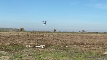 Twinn Rexx flying smoothly