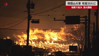 【速報】韓国山火事、死者19人に 強風で拡大、消火難航