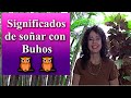 ¿Que significa soñar con Naipes? - Sueño Significado - YouTube